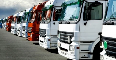 О мошенничестве при перевозке авто и грузов предупредили в МВД