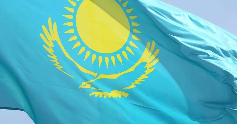 Путевка в жизнь