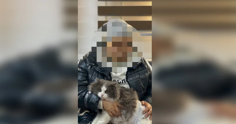 Женщину наказали после видео с котом в стиральной машинке