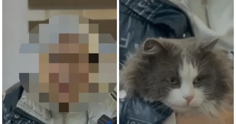 Казахстанка постирала кота в стиральной машине ради шутки