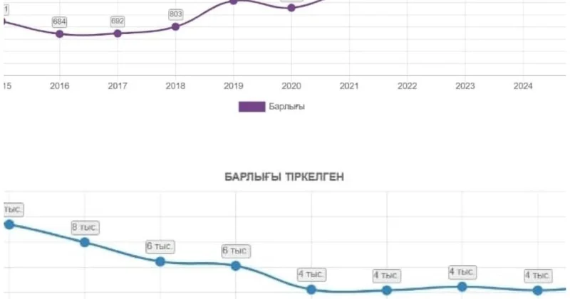 Атыраудағы интернет алаяқтық: қылмыс азайып жатса да, неге сандар өсіп отыр?