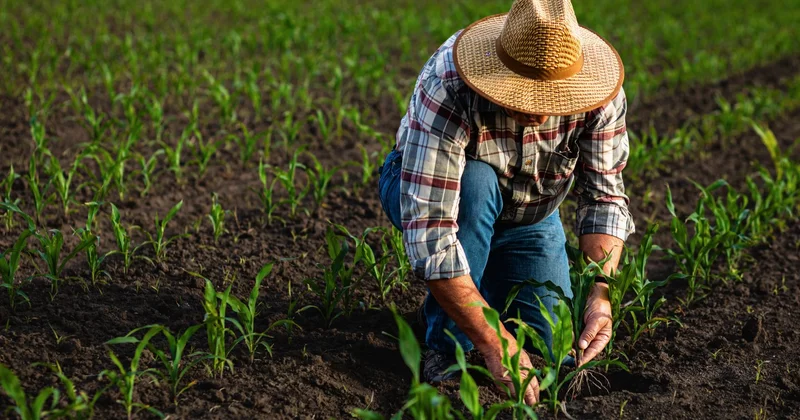 Год запретов и рекордов: казахстанские аграрии подводят итоги года