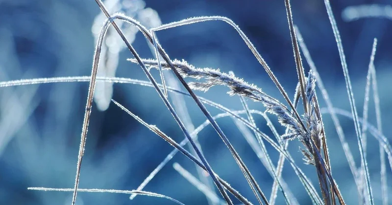 От 9 ночью и до +6 днем: как изменится погода в Шымкенте