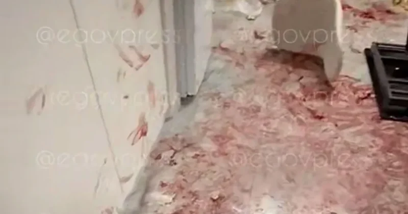 Жуткие кадры из квартиры в Алматы распространяют в сети: полиция сделала заявление