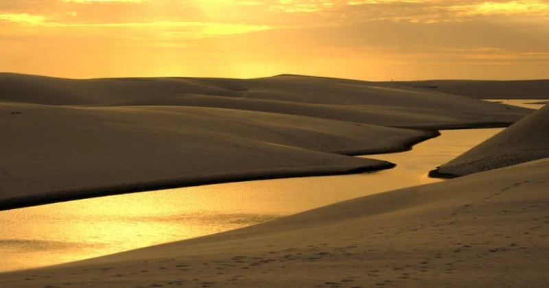 Африкадан Аралға дейін: Құм жұтқан көлдерді қайтсек құтқарамыз?