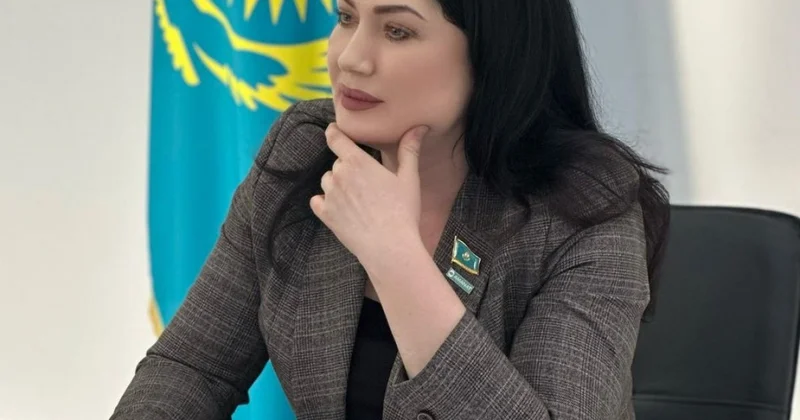 Система сдержек и противовесов: депутат AMANAT о логике реформ, озвученных Токаевым