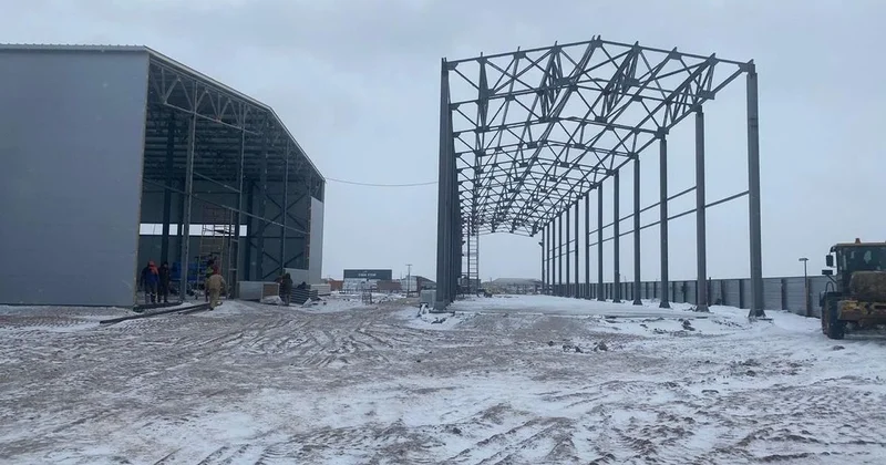 От стабильных надоев до умной фермы: как развивается молочное животноводство в Акмолинской области