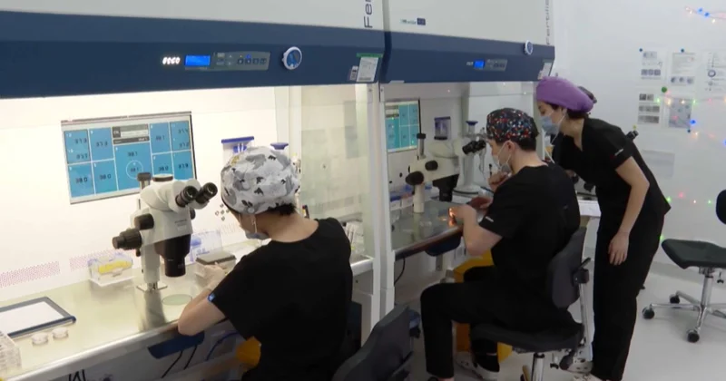 Аңсаған сәби бағдарламасының игілігі