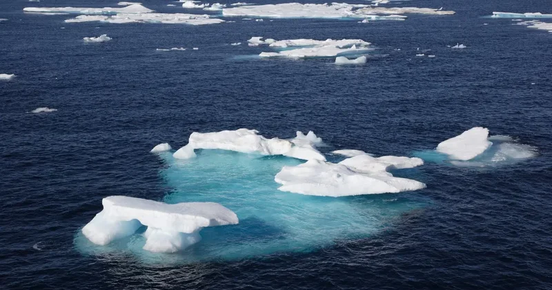 Арктикада мұз жамылғысы жоқ алғашқы күн 2030 жылға қарай болуы мүмкін Гётеборг университеті