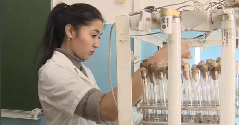 Жастарды қолдау шаралары артты