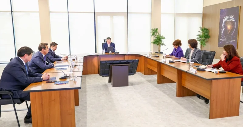 Бюджетті теріс пайдалану: Үкімет жекеменшік мектептер бойынша аудит нәтижелерін жариялады