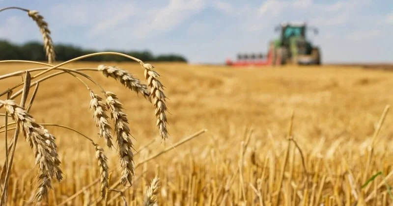 Нарушения выявили в АПК: бюджет РК потерял 32 миллиарда