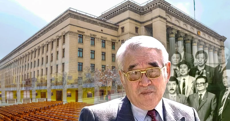 Вице президент институты: толысқан мемлекеттің саналы таңдауы