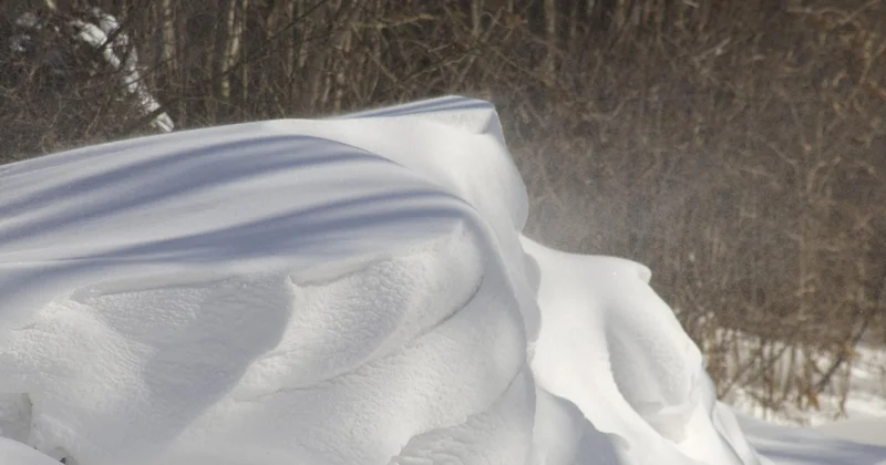 Девочку насмерть завалило снегом в вырытом ее тоннеле в России