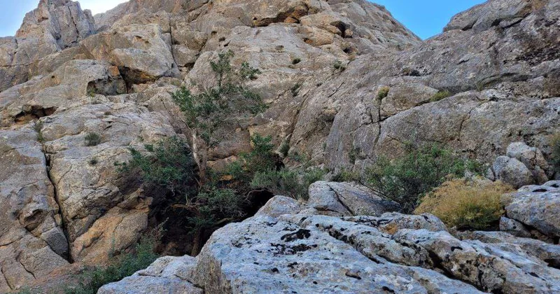 Камни помнят, или Репортаж из ущелья Боралдай