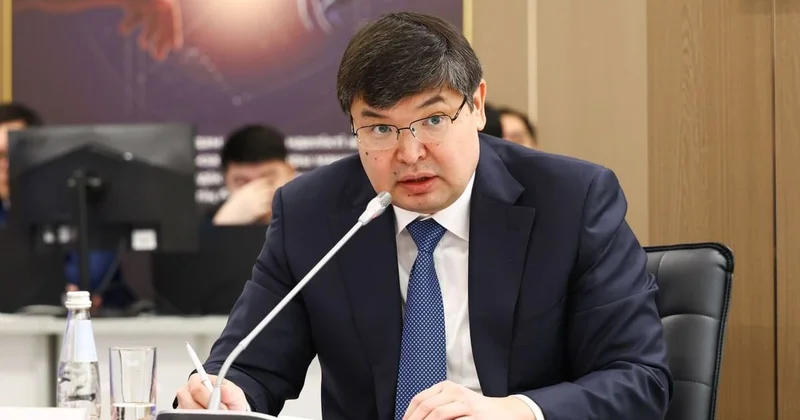 Глава Минфина рассказал о теневых схемах обмана с субсидиями на миллиарды тенге в Казахстане