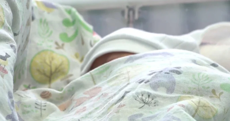 СҚО: Аңсаған сәби аясында 334 бала дүниеге келді