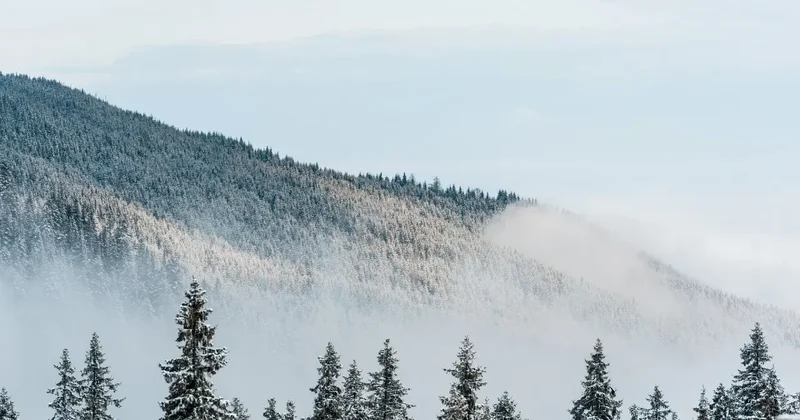 Снег, метели и потепление: какой будет погода в Казахстане на выходных