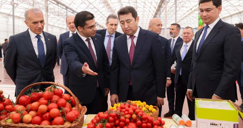 Шымкентте 69 млрд теңгелік заманауи жылыжай кешені салынады