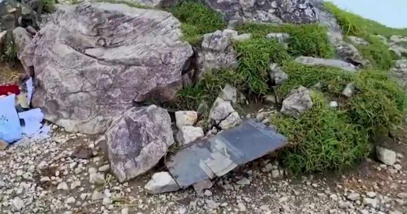 Индонезияда шағын ұшақ апатынан қаза тапқандардың барлығының мәйіті табылды