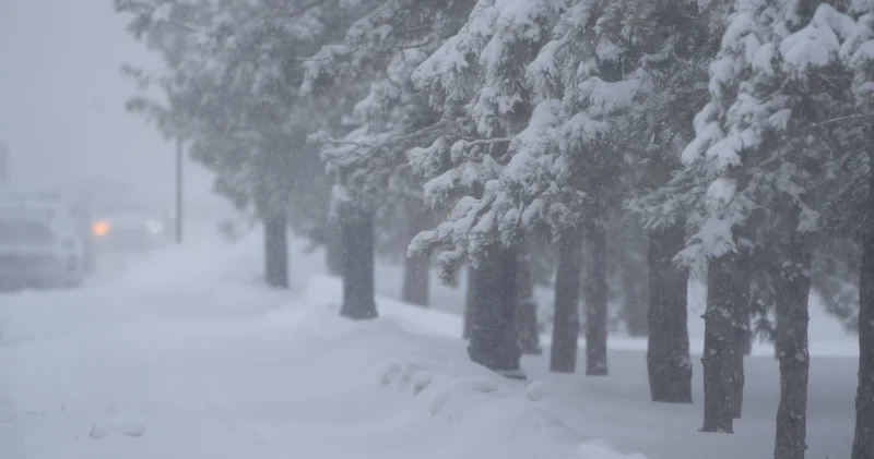 Қазақстанда қалың қар жауады: демалыс күндеріне болжам