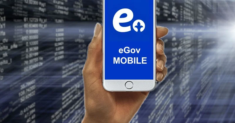 В eGov Mobile запустили сервис добровольного страхования имущества