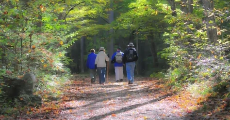 Туристический поток в Акмолинскую область превысил 1,6 миллиона человек