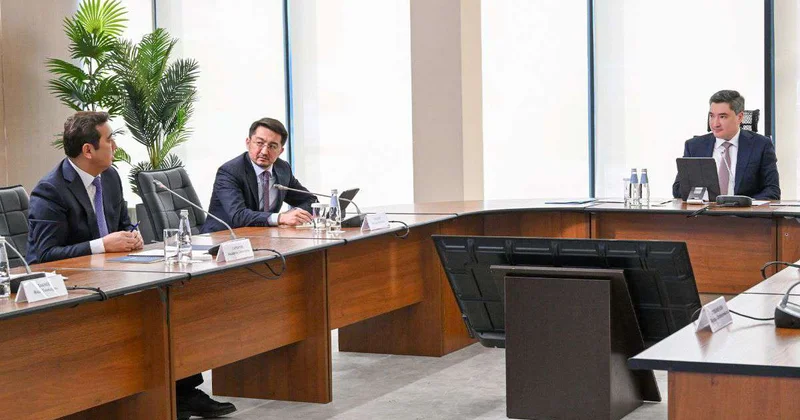 Госаудит: за 2 года объем нарушений в АПК составил порядка 300 млрд тенге