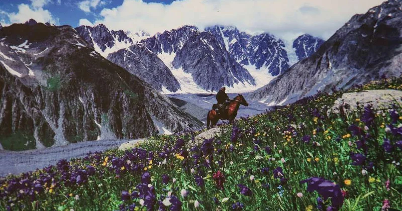 Влекут народ к себе юга…