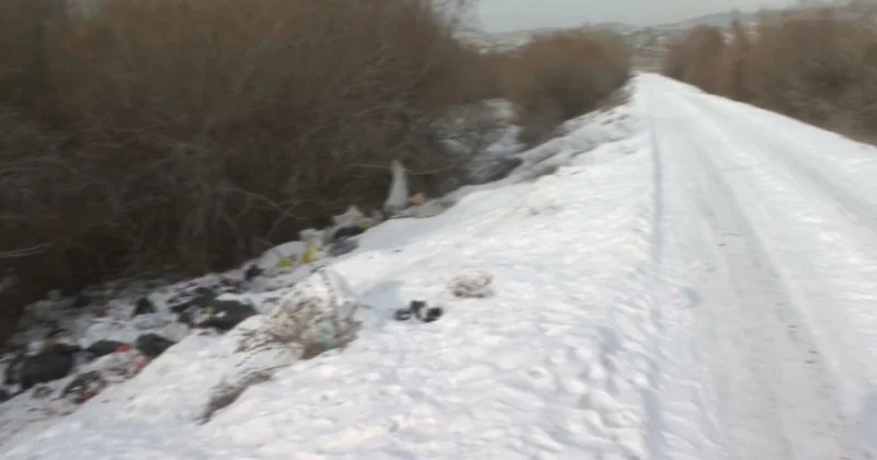 Талдықорғанда өзен жағасын қоқыс жайлап жатыр