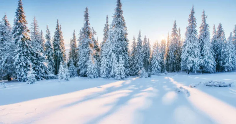 Синоптиктер қауіпті метеорологиялық құбылыстар болатынын мәлімдеді