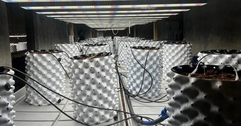 Лабораторию с дорогостоящим оборудованием обыскали в Акмолинской области