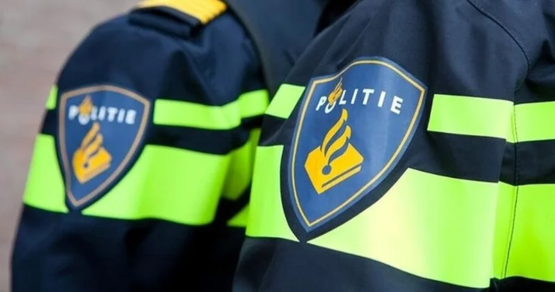 Нидерландтағы күміс музейден 300 ден астам экспонат қолды болды