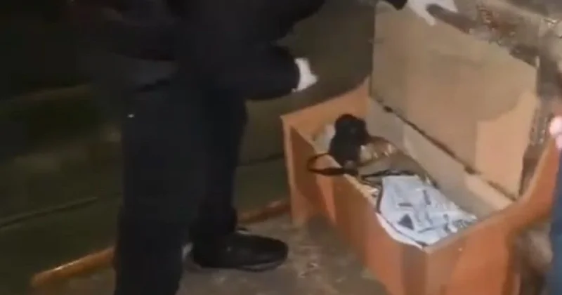 Кухонный стул заинтересовал полицейских в ВКО (видео)