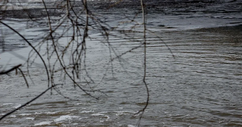 Более 700 потенциальных родников выявили в Казахстане