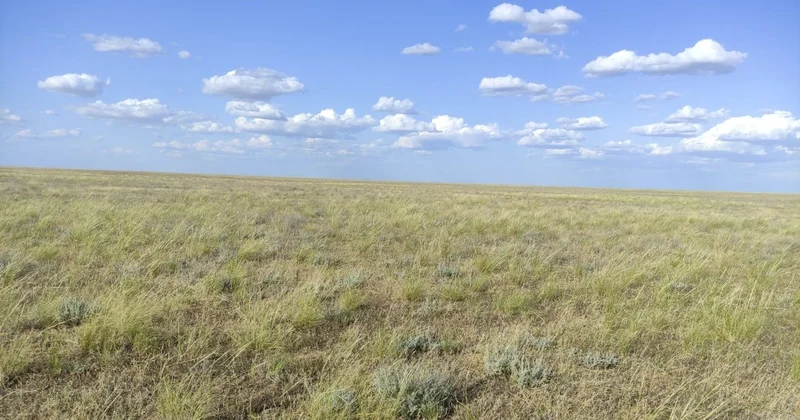 БҚО да ауыл тұрғындарының жайылымдық жері сатылып кеткені рас па