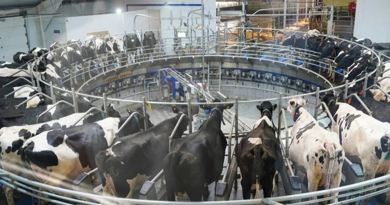 Субсидияның орнына жеңілдетілген несие: шаруалар үшін не өзгерді