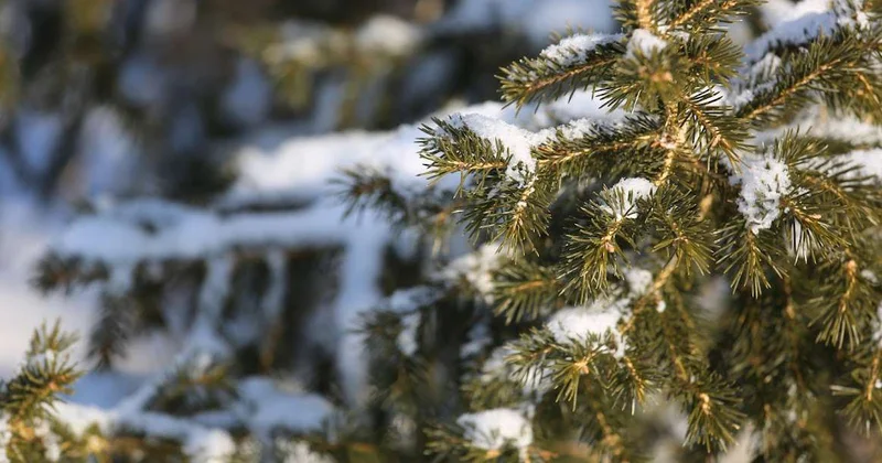 Снегопады сменятся морозами в Казахстане