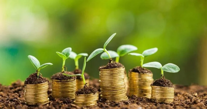 1879 диқан ерте қаржыландыру арқылы егіс жұмыстарына кірісті