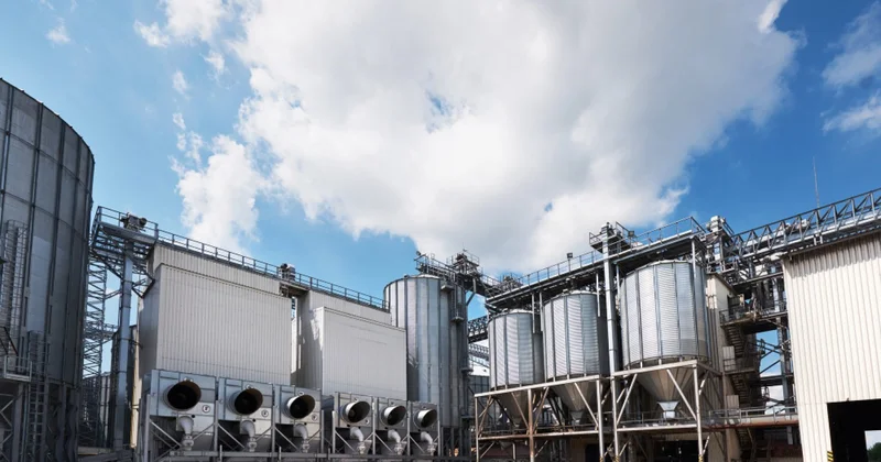 На чьи деньги собрались строить новый фармзавод в Шымкенте и когда его откроют