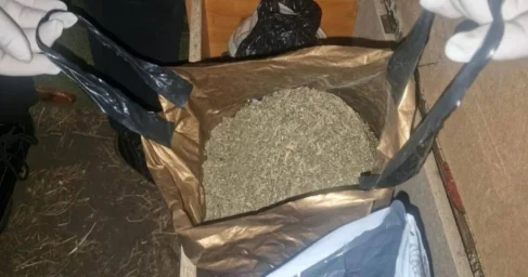 Марихуана в особо крупном размере изъята в ВКО