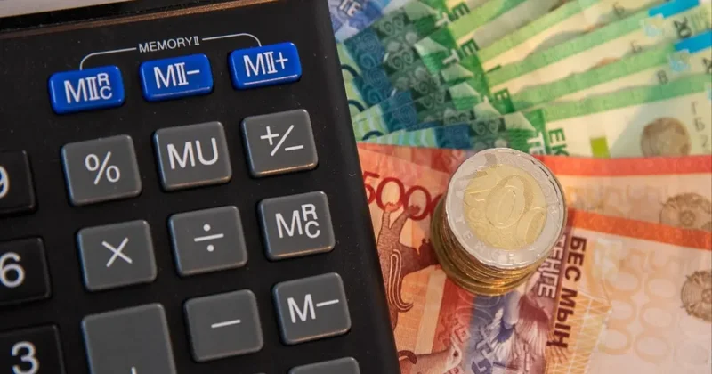 Сотрудничество ТОО и самозанятых: обсуждаемую норму Налогового кодекса готовы пересмотреть