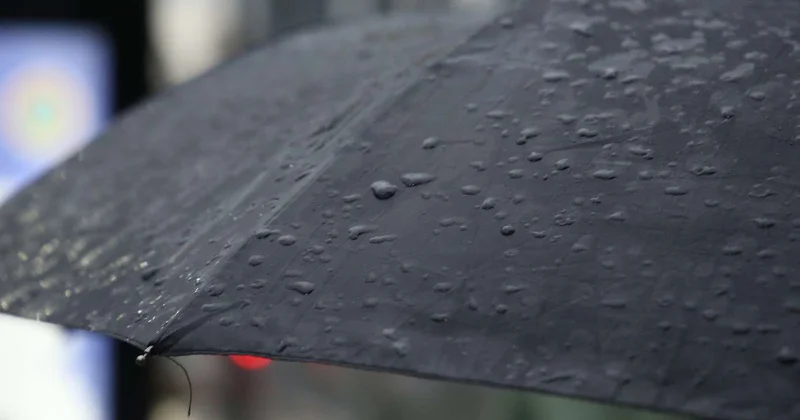 Опубликован рейтинг самых дождливых городов мира