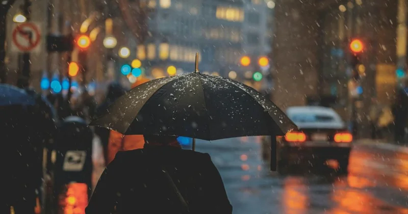 До +18 градусов и дожди ждут жителей Шымкента в последние дни февраля