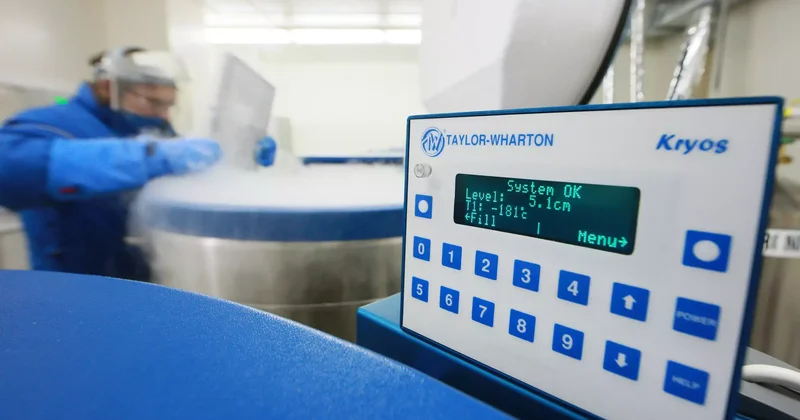 Алматыда ер адам бүйрегін 25 мың долларға сатпақ болған