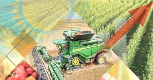 2025 жылы 83 ауыл жойылды: Елді мекендердің ертеңгі тағдыры қандай?