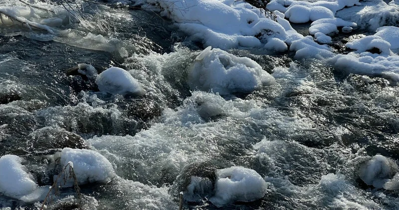 Поплывем или пронесет?