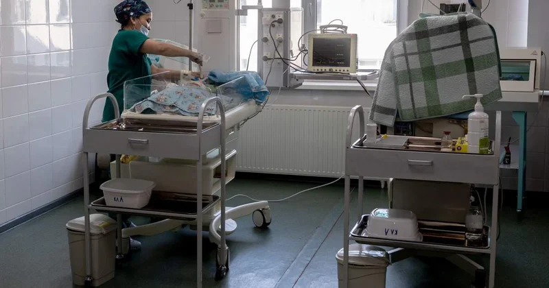 Елімізде қанша патронаждық мейіргер қызмет атқарады