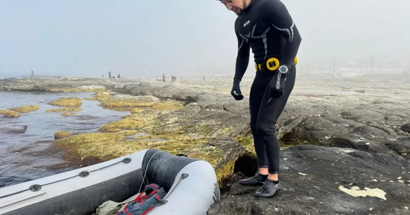 Что чаще находят водолазы на дне Каспия у побережья Актау