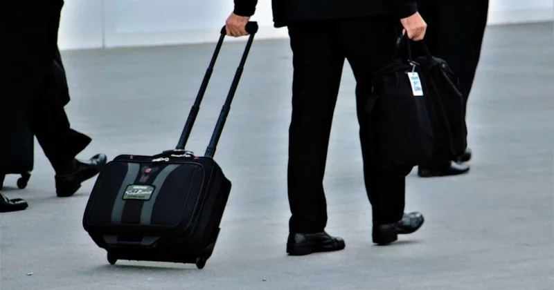 Организаторов канала незаконной миграции задержали в Жамбылской области